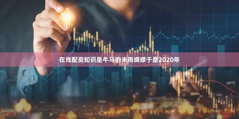 在线配资知识是牛马的未雨绸缪于是2020年