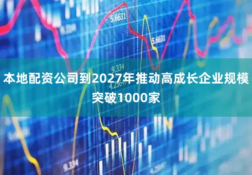 本地配资公司到2027年推动高成长企业规模突破1000家